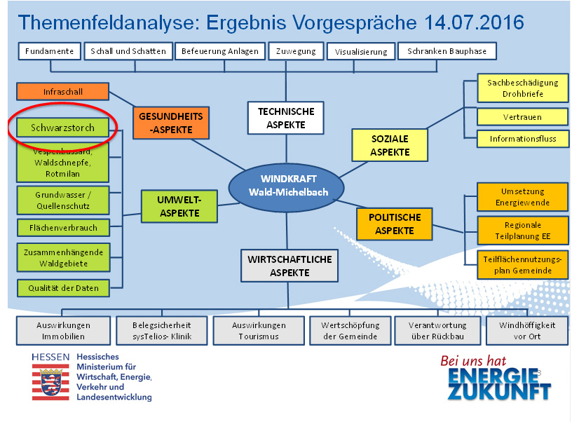 Themenfeldanalyse Vorgespräche Wald-Michelbach